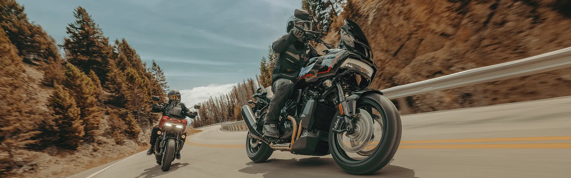 Noleggio Harley-Davidson